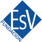 Concedidas las Ayudas a la Investigación Clínica y Epidemiológica de la Fundación ESV 2024